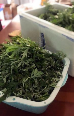 将新鲜艾草清洗干净，锅里水烧开，加2克小苏打煮2分钟捞出过凉水