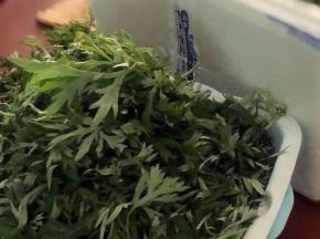将新鲜艾草清洗干净，锅里水烧开，加2克小苏打煮2分钟捞出过凉水