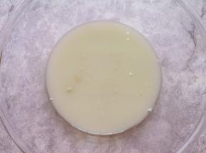 温水里面加入糖和发酵粉混合均匀。 