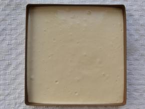 面糊从20CM高度倒入抹了薄薄一层玉米油的28*28烤盘中，晃平或者用刮板刮平，提起从高处振2下振出大气泡。