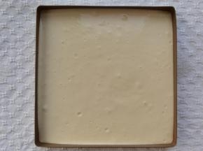 面糊从20CM高度倒入抹了薄薄一层玉米油的28*28烤盘中，晃平或者用刮板刮平，提起从高处振2下振出大气泡。