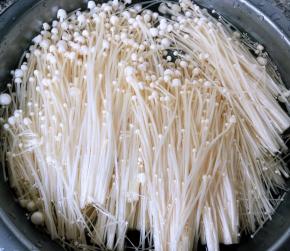 新鲜的金针菇去根掰成小朵放入清水中浸泡一会儿