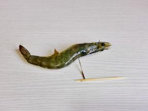 基围虾剪掉虾爪，再借助牙签将虾线挑出。