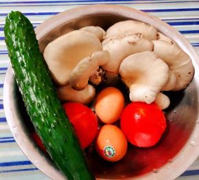 准备原材料平菇、西红柿、鸡蛋、黄瓜