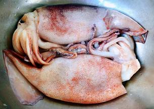 新鲜的鱿鱼清水冲洗干净