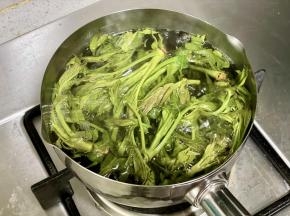 锅里烧开水，下入香椿，焯水至变成绿色，约1分钟。