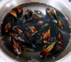 摘去海虹外侧的杂质在清水中浸泡一会儿