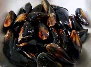 洗净处理干净的海虹沥干水份备用