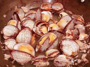 煮至2-3分钟毛蚶全部开口即可