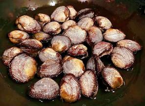 新鲜的毛蚶用牙刷清洗干净处理好放入锅中添加少许清水大火煮开