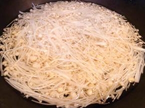 金针菇摘好洗净放入开水中焯水断生