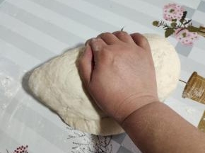 发酵好的面团，揉匀，排气！