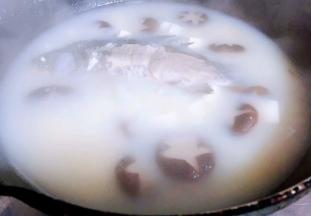 汤汁时放入香菇一起慢慢煮至汤汁奶白