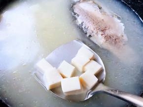 添加适量清水放入豆腐大火煮起来