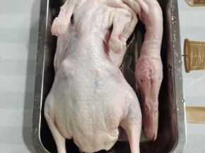 鸭身上的毛处理干净了，剪掉鸭屁股，清洗干净备用！