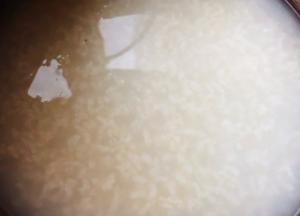 大米粥熬制成六成熟