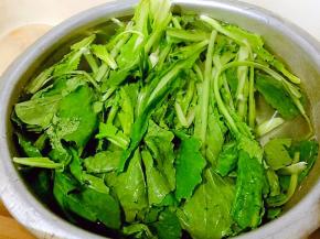 小白菜摘除干净在清水中浸泡10分钟左右洗净