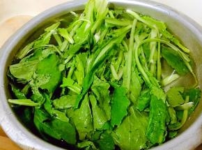 小白菜摘除干净在清水中浸泡10分钟左右洗净