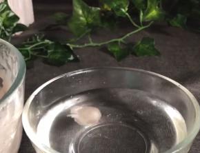 揪一坨能飘在水面上最好