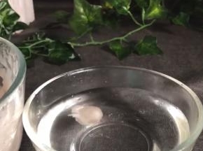 揪一坨能飘在水面上最好