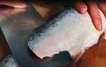 鱼尾清洗干净后把鱼肉片下来