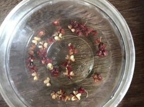 花椒用开水冲泡备用