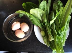 备好食材