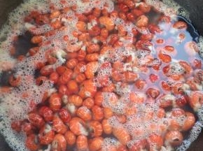 水烧开，放入龙虾尾焯水一分钟！