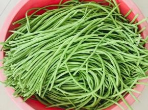 刚从地里摘回来的豇豆，选择嫩嫩的饱满的豇豆，把有虫的部分摘出来，掐去两头，不用洗！（豇豆本身也不脏，不用洗，直接腌制，吃的时候再清洗一下就好了！这样可以防止豇豆洗的时候水份没彻底晾干，容易变质的问题！）