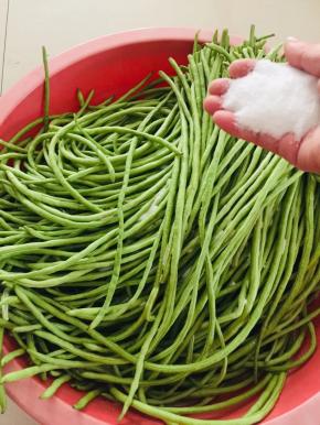 把豇豆放在盆子里，撒上适量的盐！（盐不要放的太多，和平时炒菜差不多的盐就可以了！这样可以促使豇豆快速的发酵变酸，盐如果太多就只有咸味，没有酸味了！）