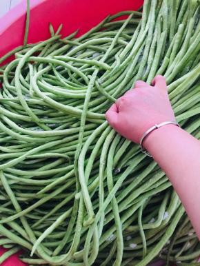 用手轻轻的按摩揉搓均匀！