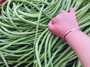 用手轻轻的按摩揉搓均匀！