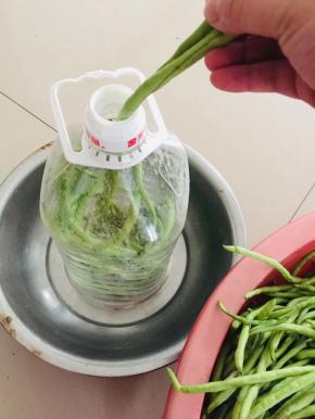 腌制好的豇豆已经有点变软了，装入饮料瓶中！边装边用筷子按压紧实！