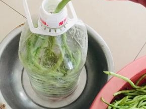 腌制好的豇豆已经有点变软了，装入饮料瓶中！边装边用筷子按压紧实！