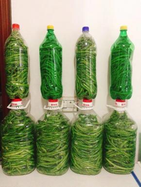 拧紧瓶盖，腌制一个月就可以食用了！