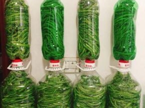 拧紧瓶盖，腌制一个月就可以食用了！