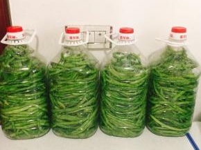 瓶子从中间切开，当顿儿吃不完的酸豇豆可以装在密封保鲜袋中，放入冰箱冷藏保存！
