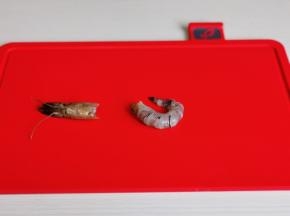 黑虎虾去头去虾线。