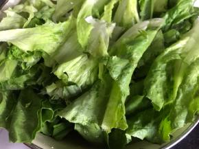 莴笋叶子摘洗干净备用