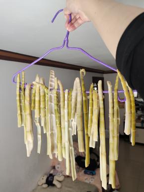 把处理好的竹笋，根据自己的喜好撕成条状，挂在晾衣架上！（这个方法适合城里居住楼房，没地方晾晒的人群用！）