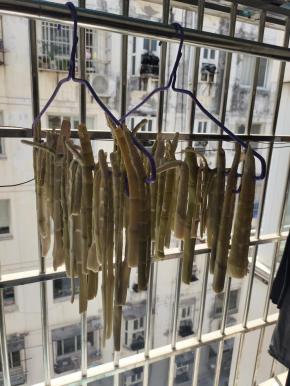 挂在阳台通风处晾晒一周左右，竹笋就晒干了！