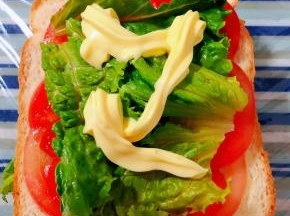 同样摆上一片吐司均匀的摆上番茄片在摆上生菜淋上沙拉酱