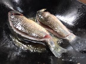 放入鲫鱼