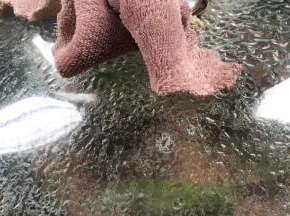 沸腾后转中火焖1分钟