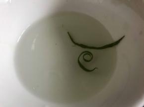 备好香葱