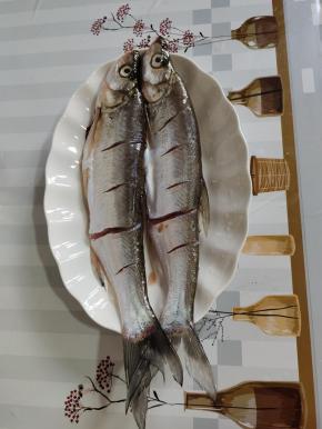 白鱼处理干净，用刀在鱼身上划几刀。均匀的涂抹少许的盐，腌制半个小时！