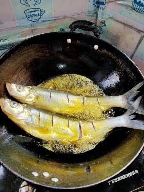 放入腌制好的白鱼。调中小火慢慢的煎，中途把锅晃动一下！