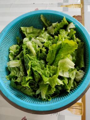 生菜清洗干净，沥干水分备用！