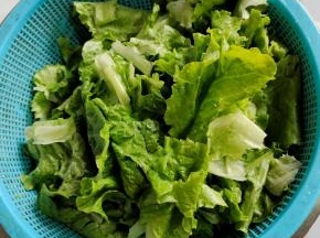生菜清洗干净，沥干水分备用！