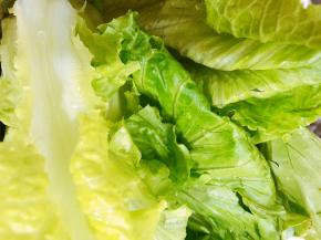 生菜淘洗干净
